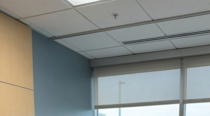 ngày tôi hiểu rằng đàn bà sau sinh không yếu đuối, họ chỉ đang một mình chống chọi với những nỗi đau mà người khác không thèm nhìn thấy.