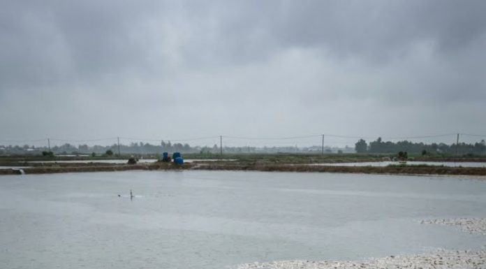 Cách đầm tôm của ông không xa là căn nhà lụp xụp của gã thanh niên Nguyễn Văn Cường, 34 tuổi, cả ngày say xỉn, thất nghiệp, bị cả làng chê là “nát rượu nhất xóm”