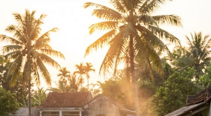 Một bác trong xóm nghẹn giọng: – Trời đất… cái này… một mình ổng làm hết hả?