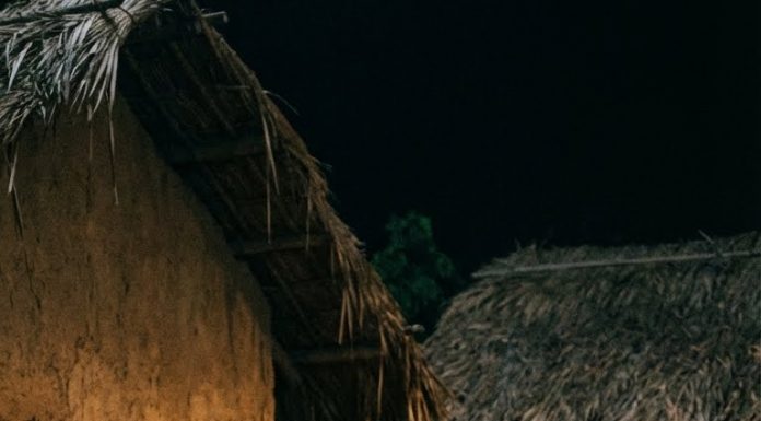 Trong ta;;ng l;;ễ, Lan nắm tay tôi: “Ngạn… đừng hối hận vì đã bán con bò. Việc cậu làm không đổi được bằng tiền.”