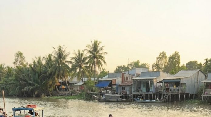 Bác Chắn! Bác bán con này cho tôi nhé. Một trăm hai chục triệu! Tôi mua để khao cả làng Đông Thịnh với làng tôi luôn.