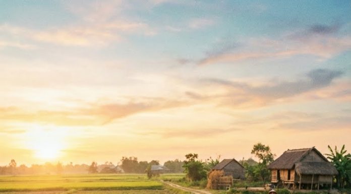 Cô Chiêm bảo thằng Hiển – đứa cháu họ thường ghé giúp – chuẩn bị gầu dây, rồi chạy sang đầu xóm gọi thêm mấy người cùng tát.