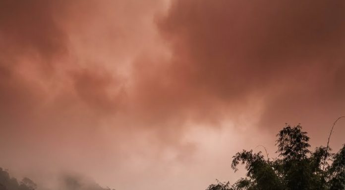 Chỉ có một người là không kinh ngạc: ông Hào, người trông coi lâm trường cũ. Ông đứng lặng, mặt tái mét, rồi quay đi rất nhanh, như sợ ai nhìn thấy.