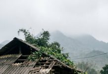 Cái anh nhận được lớn nhất không phải đàn gà – mà là tình người, là nợ nghĩa, là sự tiếp nối của những điều tử tế mà cuộc đời đã âm thầm tích lại cho anh.