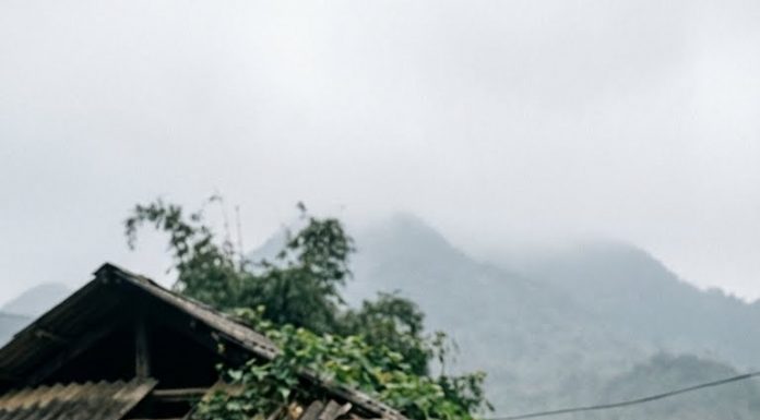 Cái anh nhận được lớn nhất không phải đàn gà – mà là tình người, là nợ nghĩa, là sự tiếp nối của những điều tử tế mà cuộc đời đã âm thầm tích lại cho anh.