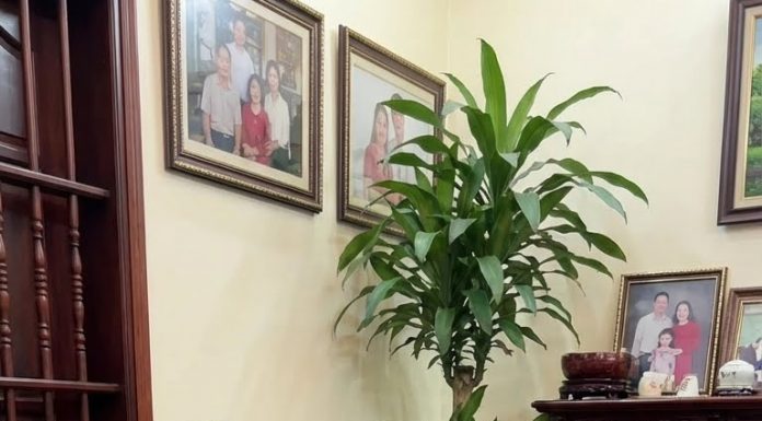 Nghe lời bố khuyên tôi đem 4 tỷ tiền hồi môn và căn nhà đi Công chứng, chồng tôi hoàn toàn không hề hay biết, cho đến khi em chồng cần tiền mua nhà…