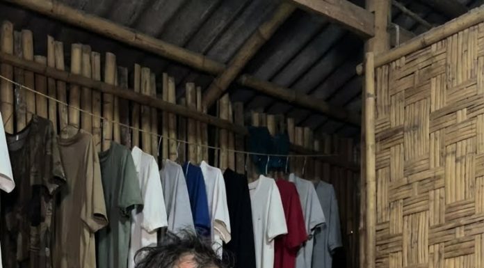 Tôi thường xuyên đi làm xa nên một mình vợ tôi vừa nuôi con vừa chăm sóc mẹ chồng. Nhiều khi thấy vợ vất vả quá, tôi nói để thuê người giúp việc nhưng cô ấy nhất quyết không chịu