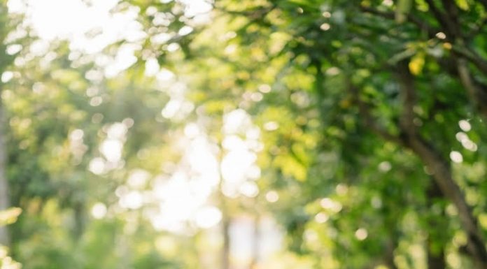 Cha mẹ m//ất sớm anh trai bỏ học Đại học nuôi 2 em g//ái thành tài…họ hàng không ai đế//m xỉa nhưng lúc có chút thành công thì tới vay tiền, đòi đất loạ//n lên…