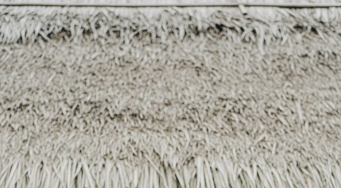 Thử lòng vợ sắp cưới, tôi dẫn em về ngôi nhà lụp xụp ở quê, ai ngờ vừa đến nơi, nhìn thấy mẹ già, em đã cười rồi đưa mảnh giấy khiến tôi xấ:;u h:;ổ vô cùng…