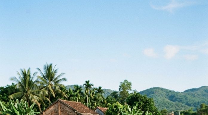 Đồng ý cho cháu trai thả 5 con cá trê lạ xuống ao, ông Sa hoảng hồn khi 2 tuần sau cá trong ao ch/ế/t hàng loạt