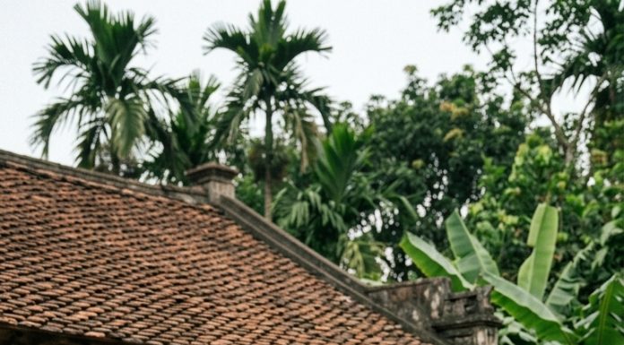 Bị chồng đuổi ra khỏi nhà trong một đêm mưa, tôi tuyệt vọng nhận lời làm vợ một anh phụ hồ xa lạ chỉ để có chỗ dung thân. Ai ngờ, chỉ sau 3 tháng… một sự thật được phơi bày khiến tôi choáng váng, đứng không vững — người đàn ông lam lũ ấy hóa ra lại che giấu một bí mật mà tôi chưa từng dám nghĩ tới…