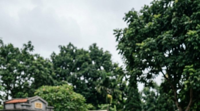 Đi thăm mộ vợ, tận mắt thấy hai đứa trẻ vô gia cư ôm chầm lấy vợ mình và gọi một tiếng “mẹ”