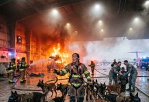 When the base commander ordered us to evacuate and leave twenty-three trapped personnel to burn, my seventeen military working dogs refused to obey, dragging me headfirst into a roaring inferno that finally unmasked who I truly am.