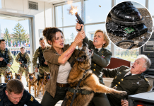 I Came to My Former Commander’s Retirement Ceremony as an Ordinary Civilian Nurse, but the Staff Moved Me to the Back Row and Treated Me Like an Intruder. Minutes Later, seven military dogs surrounded me, Atlas placed his paws around my shoulders, and the officer who had quietly ended my career reached beneath a computer table for something he was desperate to destroy…