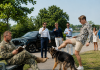 I Was Sitting Quietly in a Waterfront Park With My Retired Military Dog When a Wealthy Teenager Began Taunting Him for an Online Video. One Reckless Swing Changed Everything. I Restrained the Boy Without Seriously Hurting Him, but the Sheriff Treated Me Like the Criminal and Ordered Animal Control to Take Rook Away. Then a Black SUV Arrived, and I Recognized the Envelope Hidden Beneath the Billionaire Father’s Coat…