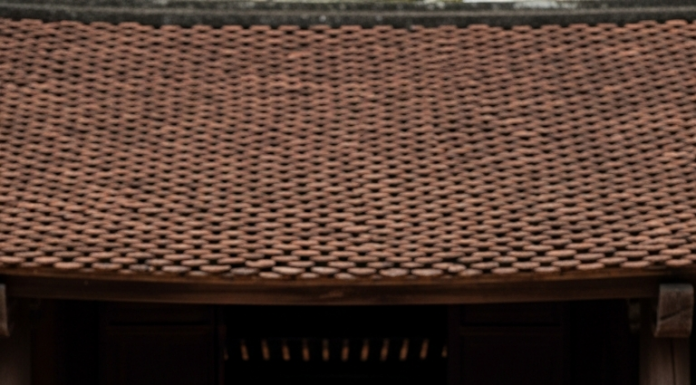 Cô giáo nuôi 2 đứa trẻ mồ côi thành người, đến khi mắc b;ệnh vay tiền thì người “con nuôi” chỉ thủng thẳng “Con không cho cô vay được”