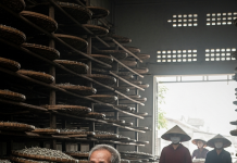 Đại gia của xóm thuê nguyên một kho lạnh để cất 5 tấn cá khô mua ngoài biển, ông dặn người nhà trông kỹ càng không cho ai vào suốt 3 năm trời