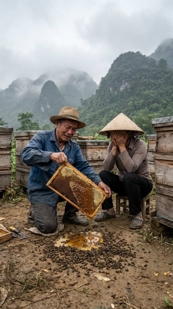 Cinematic_photorealistic_this_202511292033