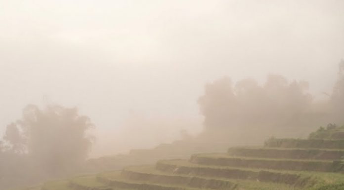 Chỉ có những bức phù điêu kỳ dị khắc hình trâu, mặt trời, và những biểu tượng vòng tròn xoáy như dòng nước.