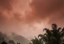 Chỉ có một người là không kinh ngạc: ông Hào, người trông coi lâm trường cũ. Ông đứng lặng, mặt tái mét, rồi quay đi rất nhanh, như sợ ai nhìn thấy.