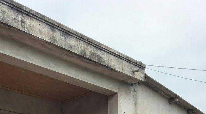 Con dâu mua hộp thuocbo 1 triệu biếu mẹ đ/ẻ đang ố//m ở quê, mẹ chồng qu//át: “Lo//ại nuôi ong tay áo… cô dám mang tiền nhà này để cho nhà đ//ẻ cô à. C/ú/t… C/ú/t ngay…”