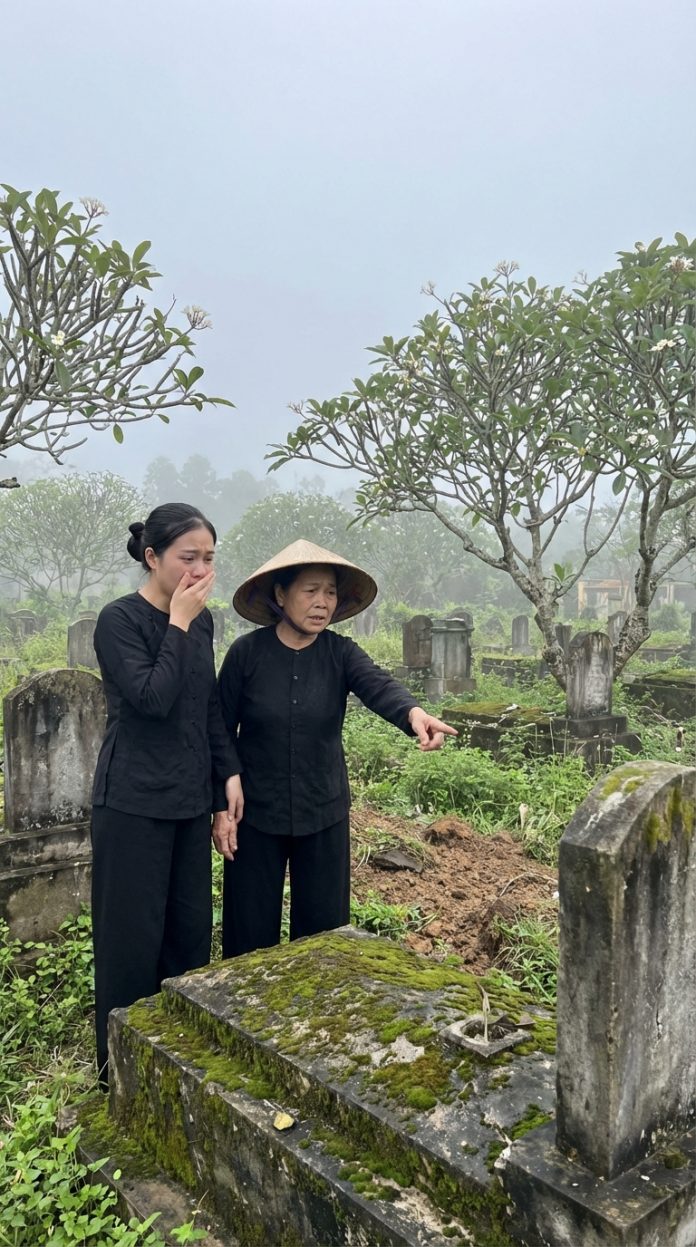 Set_in_a_202602170934