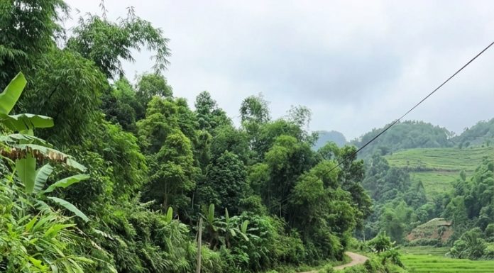 Lòng tốt đổi lấy họa? Tài xế cho bà cụ đi nhờ và 10 phút kinh hoàng!