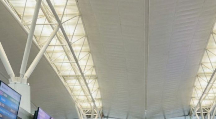 Lỡ có bầu với tổng giám đốc, tôi v-ác b-ụng b-ầu ch:ạy tr:ốn sang Nhật Bản, ai ngờ ngày trở về…