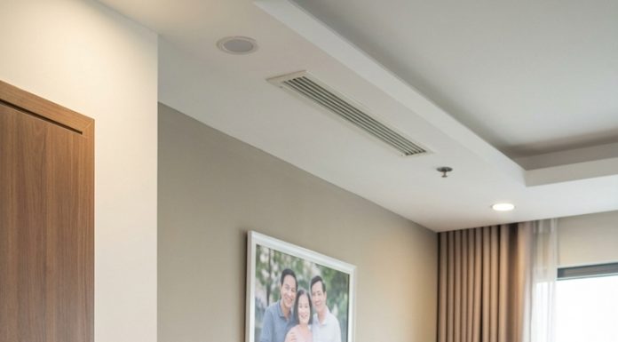 Ngày bà Gái nhận được điện thoại của con trai, bà đang cấy dở thửa ruộng cuối cùng của mùa vụ. Mồ hôi còn đọng trên trán, tay vẫn lấm bùn, bà nghe tiếng Hùng – đứa con trai duy nhất – hồ hởi vang lên