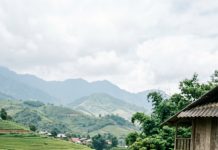 Con trai tôi bỏ cả tiểu thư Hà Thành để cưới cô gái nuôi bò trên Điện Biên. Ngày nó báo tin, tôi suýt sặc nước chè