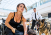 “Watch where you’re going, wheels!” They didn’t know the scarred, disabled woman they just brutally shoved was actually a legendary Special Forces sniper. But when my war dog launched an attack to shield me, a shocking 12-year-old military cover-up began to unravel right in the middle of the mall.
