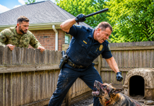I thought my neighbor was just a bad pet owner when I saw his chained German Shepherd. But when I jumped the fence to save the starving dog, I found a faded tattoo that exposed a chilling secret. This wasn’t just a stray—and what I found in the shed changed everything…